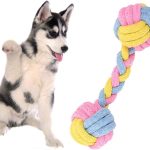 Juguete De Cuerda Para Perro