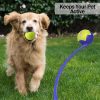 Lanzador De Pelota - Pennys Pet - Imagen 6