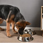 Plato En Acero Inoxidable Para Perros - 30cm